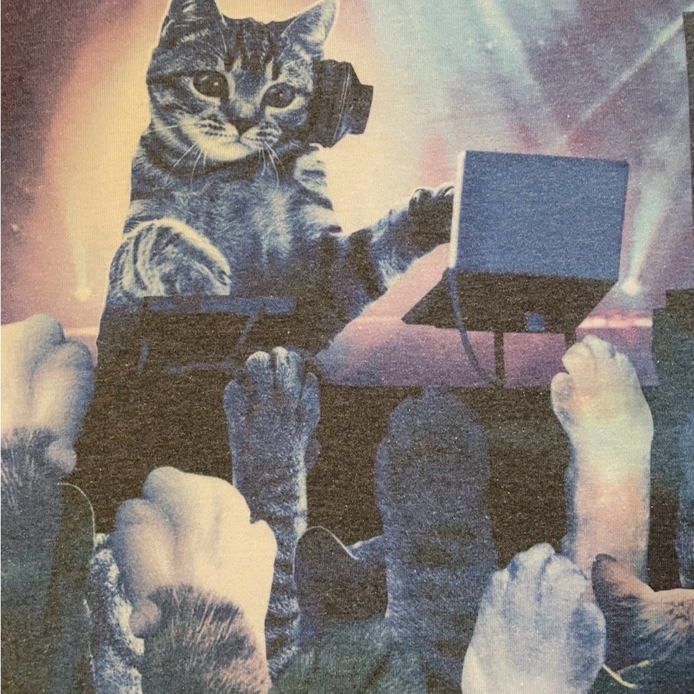 Gildan Blue DJ Cat Graphic Short Sleeve Tee small RARE & festival ready unisex